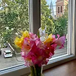 Apartment вічник - в центрі мукачева Mukacheve