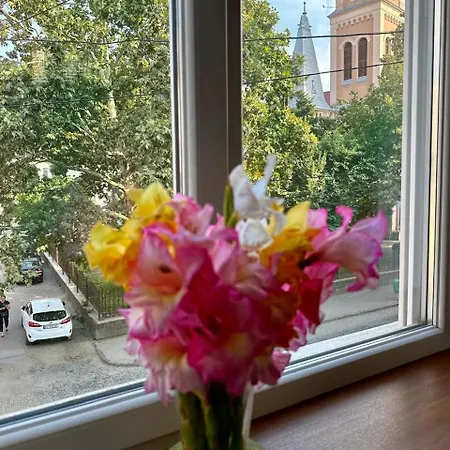 Appartement вічник - в центрі мукачева Moekatsjeve