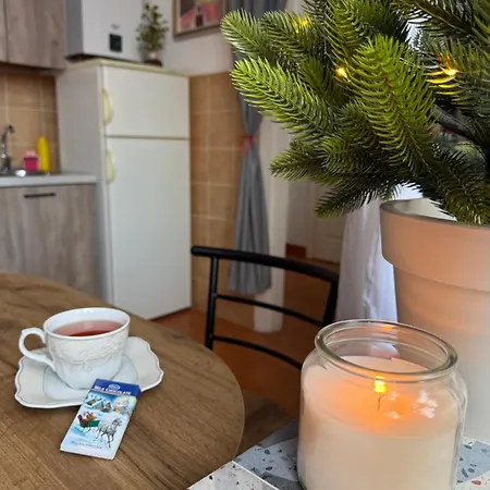 Appartement вічник - в центрі мукачева *